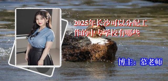 2025年长沙可以分配工作的中专学校有哪些
