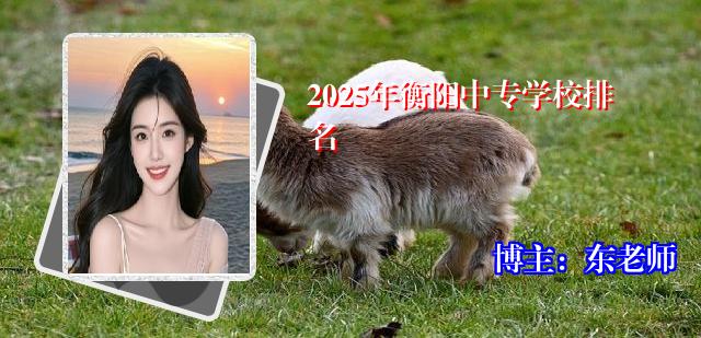 2025年衡阳中专学校排名
