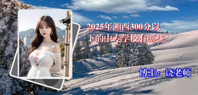 2025年湘西300分以下的中专学校有哪些