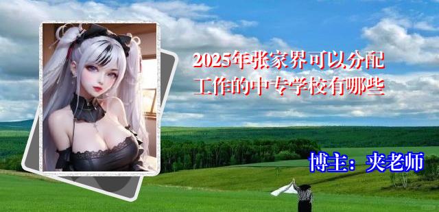 2025年张家界可以分配工作的中专学校有哪些