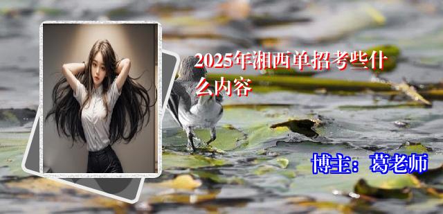 2025年湘西单招考些什么内容