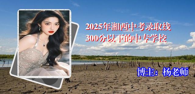 2025年湘西中考录取线300分以下的中专学校