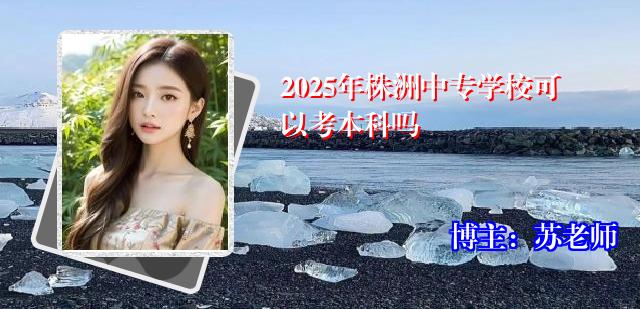 2025年株洲中专学校可以考本科吗