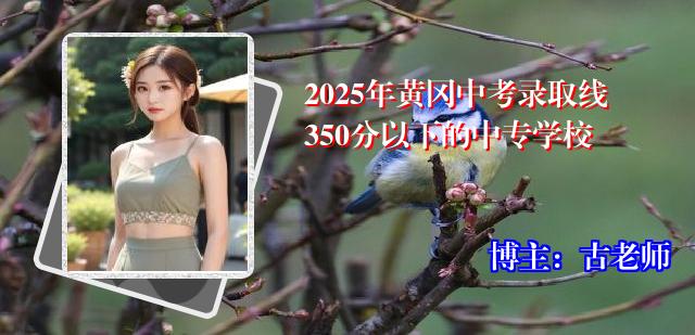 2025年黄冈中考录取线350分以下的中专学校