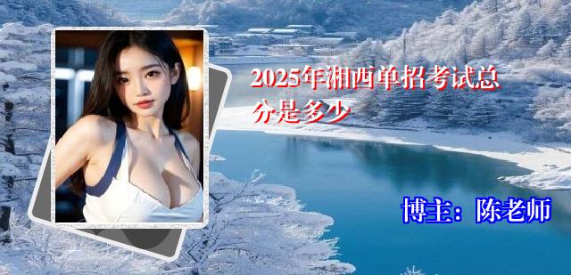 2025年湘西单招考试总分是多少
