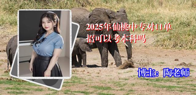2025年仙桃中专对口单招可以考本科吗
