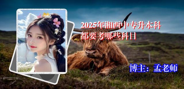 2025年湘西中专升本科都要考哪些科目
