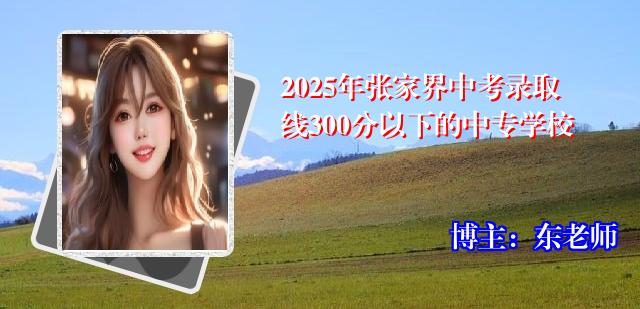 2025年张家界中考录取线300分以下的中专学校
