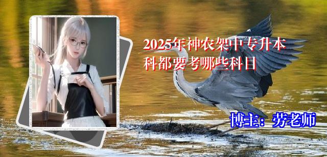 2025年神农架中专升本科都要考哪些科目