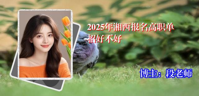2025年湘西报名高职单招好不好