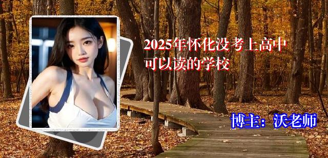 2025年怀化没考上高中可以读的学校