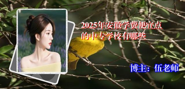 2025年安徽学费便宜点的中专学校有哪些