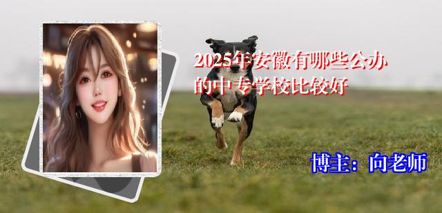 2025年安徽有哪些公办的中专学校比较好