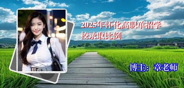 2025年怀化高职单招学校录取比例