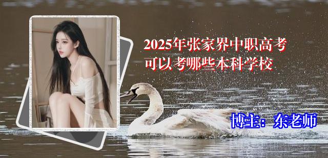 2025年张家界中职高考可以考哪些本科学校