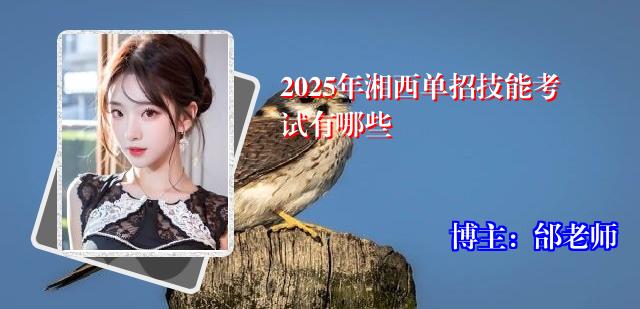 2025年湘西单招技能考试有哪些