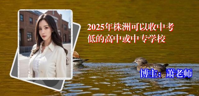 2025年株洲可以收中考低的高中或中专学校