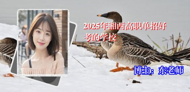 2025年湘西高职单招好考的学校