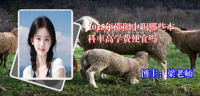 2025年邵阳中职哪些本科率高学费便宜吗