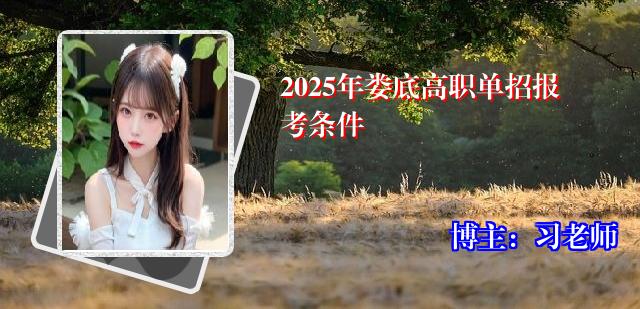 2025年娄底高职单招报考条件