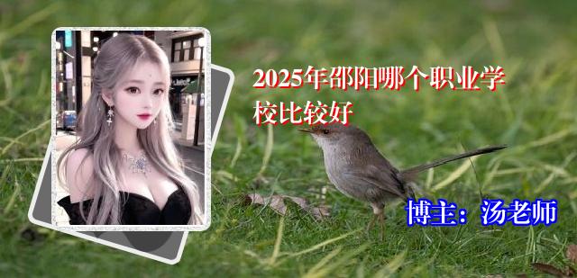 2025年邵阳哪个职业学校比较好