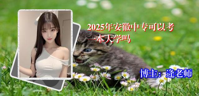 2025年安徽中专可以考一本大学吗