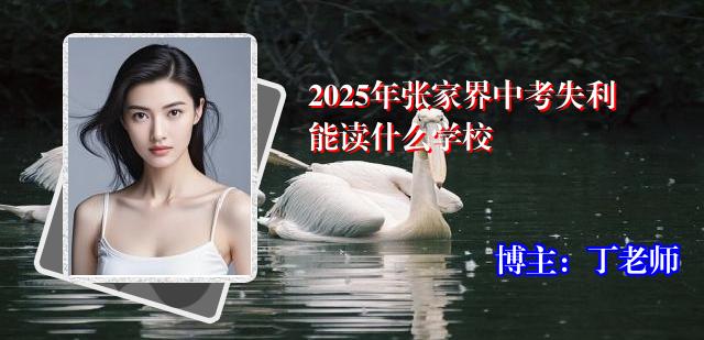 2025年张家界中考失利能读什么学校