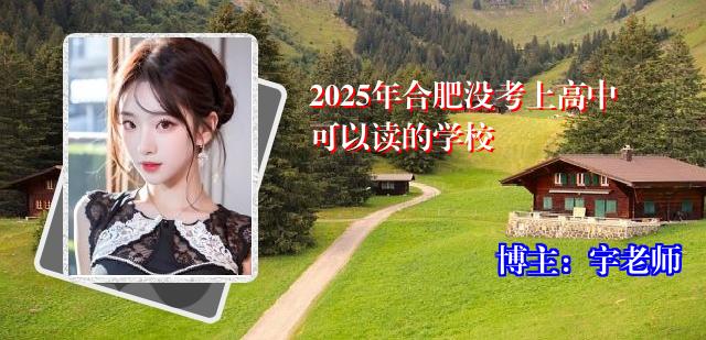 2025年合肥没考上高中可以读的学校