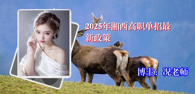 2025年湘西高职单招最新政策