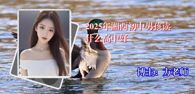 2025年湘西初中男孩读什么高中好