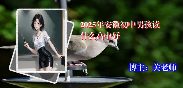 2025年安徽初中男孩读什么高中好