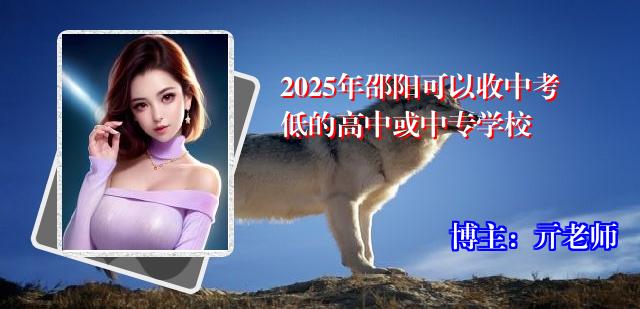 2025年邵阳可以收中考低的高中或中专学校