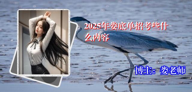 2025年娄底单招考些什么内容