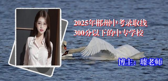 2025年郴州中考录取线300分以下的中专学校