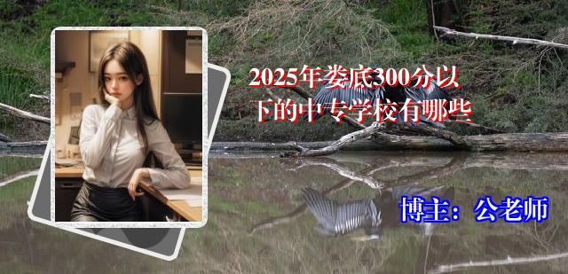 2025年娄底300分以下的中专学校有哪些
