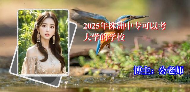 2025年株洲中专可以考大学的学校
