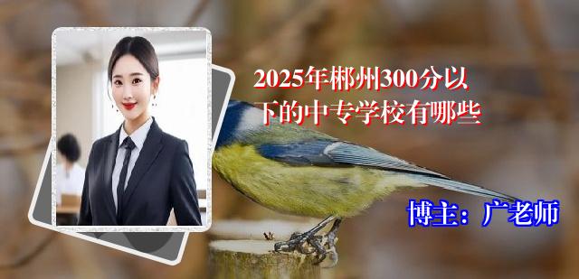 2025年郴州300分以下的中专学校有哪些