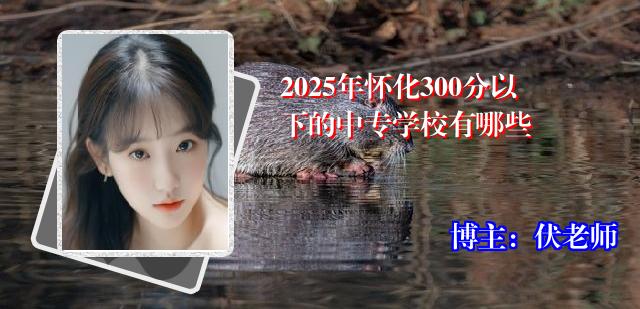 2025年怀化300分以下的中专学校有哪些