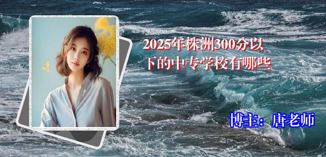 2025年株洲300分以下的中专学校有哪些