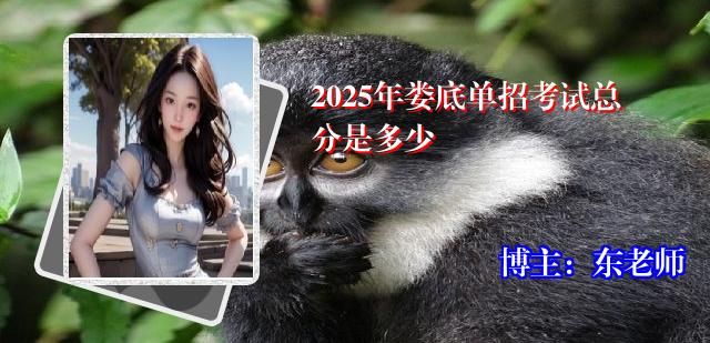 2025年娄底单招考试总分是多少