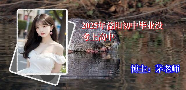 2025年益阳初中毕业没考上高中