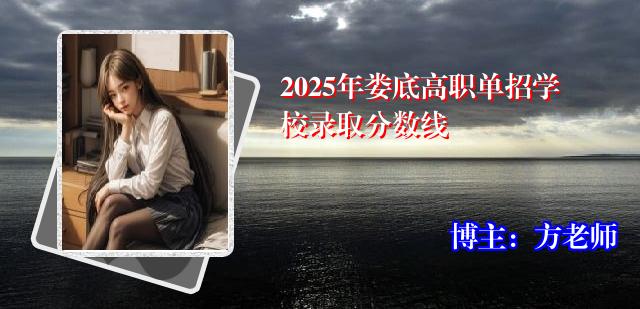 2025年娄底高职单招学校录取分数线