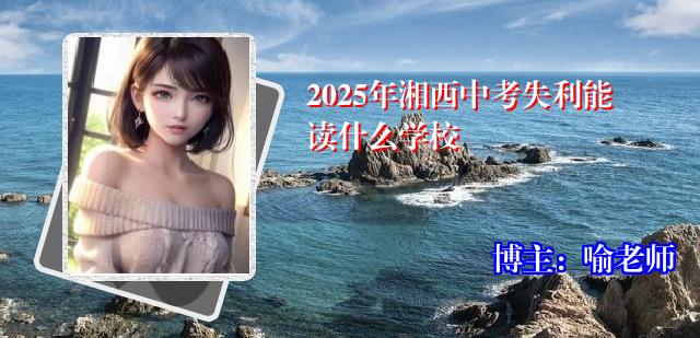 2025年湘西中考失利能读什么学校