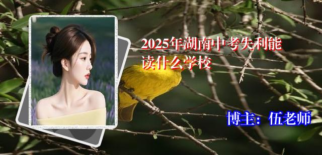 2025年湖南中考失利能读什么学校