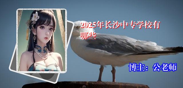 2025年长沙中专学校有哪些
