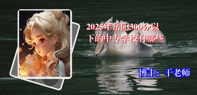 2025年岳阳300分以下的中专学校有哪些