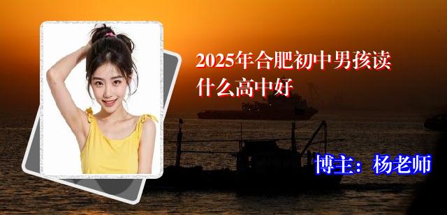 2025年合肥初中男孩读什么高中好