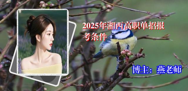 2025年湘西高职单招报考条件