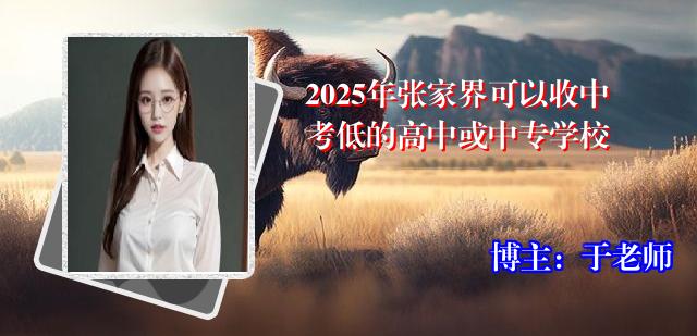 2025年张家界可以收中考低的高中或中专学校