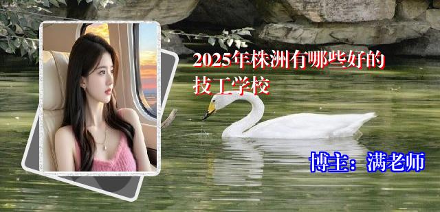 2025年株洲有哪些好的技工学校